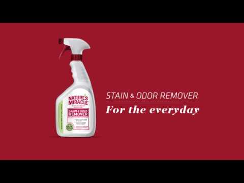 Original Stain and Odor Remover | Nature's Miracle